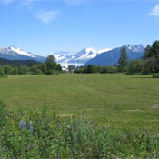 Alaska Golf Course - Mendenhall Golf Course