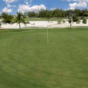 Florida Golf Course - Sombrero Country Club