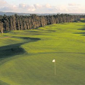 Oregon Golf Course - Sandpines Golf Links