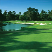 South Carolina Golf Course - Cougar Point Golf Club at Kiawah Island Resort